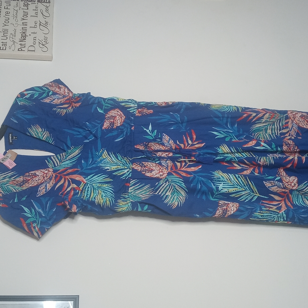 Express One Piece Pants